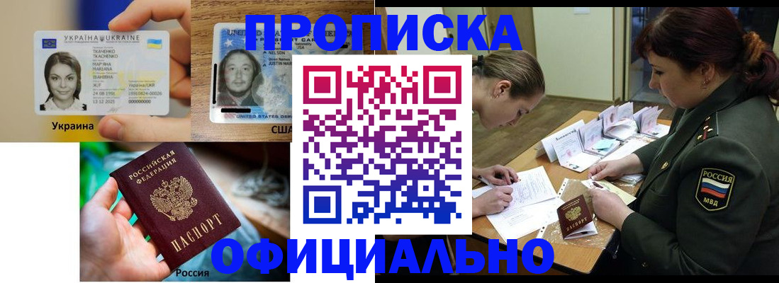 временная регистрация поиск в Светлогорске